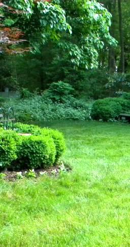 Property landscaping